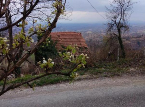 Plesivica Hillside Holiday Home with Hot -Tub